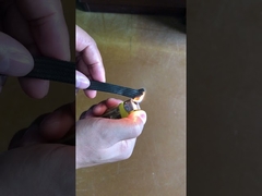 Flammfeste PET-Erweiterbare geflochtene Hülsen Schutzhülsen für elektrische Drähte